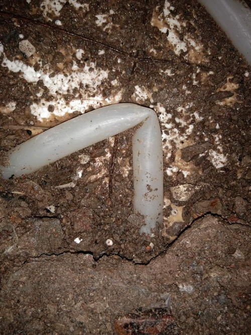 汤原堵点精准查找